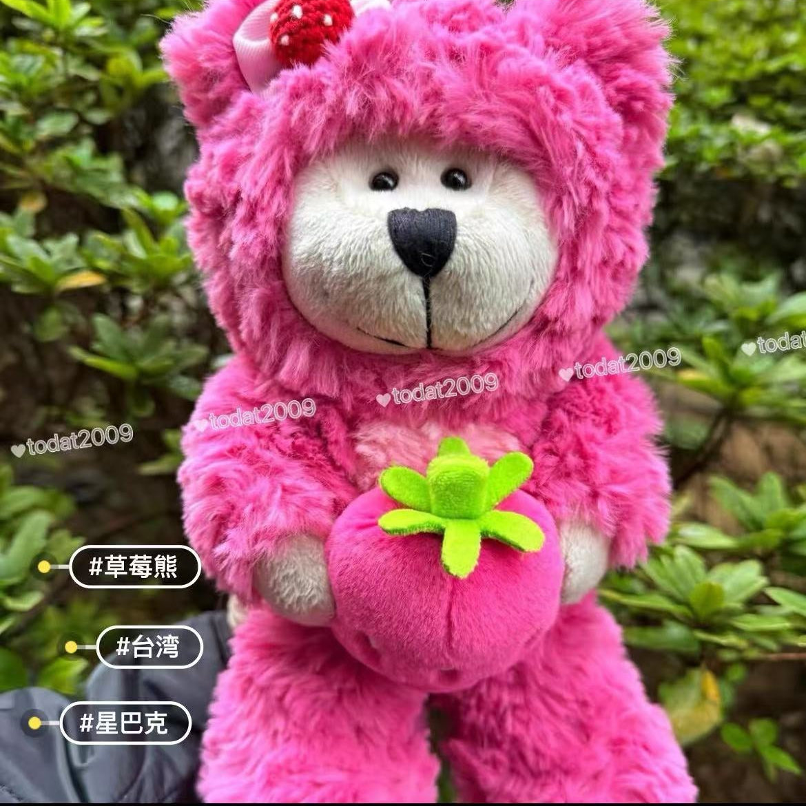 (Pre-Order) Taiwan SB Bear plush