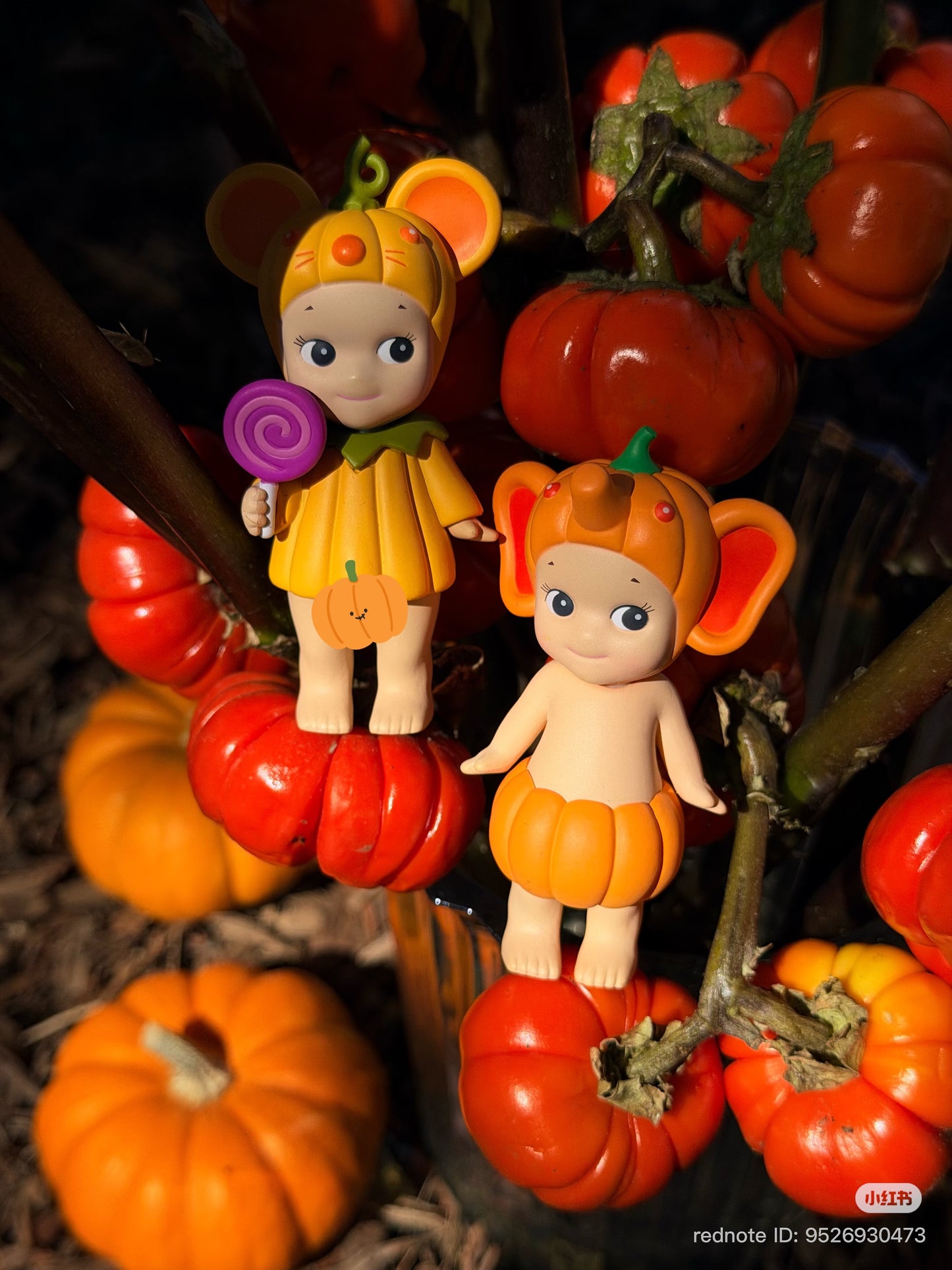 (Pre-Order) Sonny Angel Pumpkin Patch