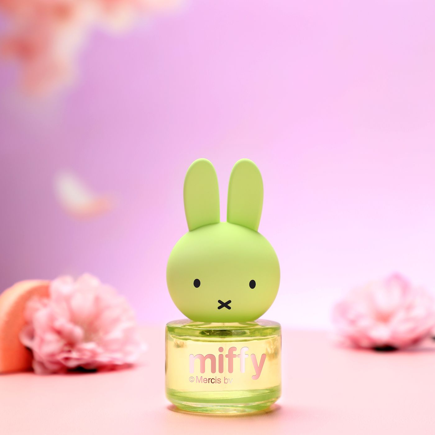 (Pre Order)Vipo Miffy Franrance