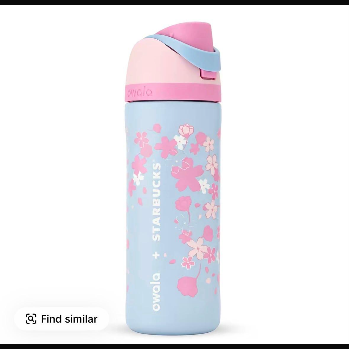 SB cute Bear Cup