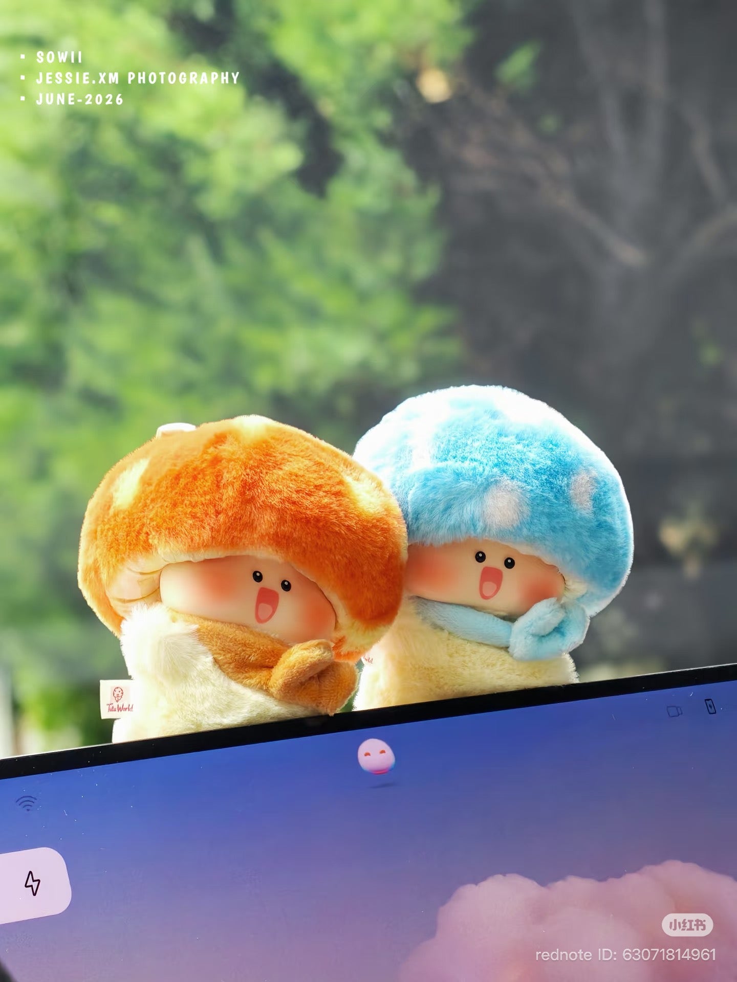 (Pre-Order) Sowii Little Mushroom TuTu