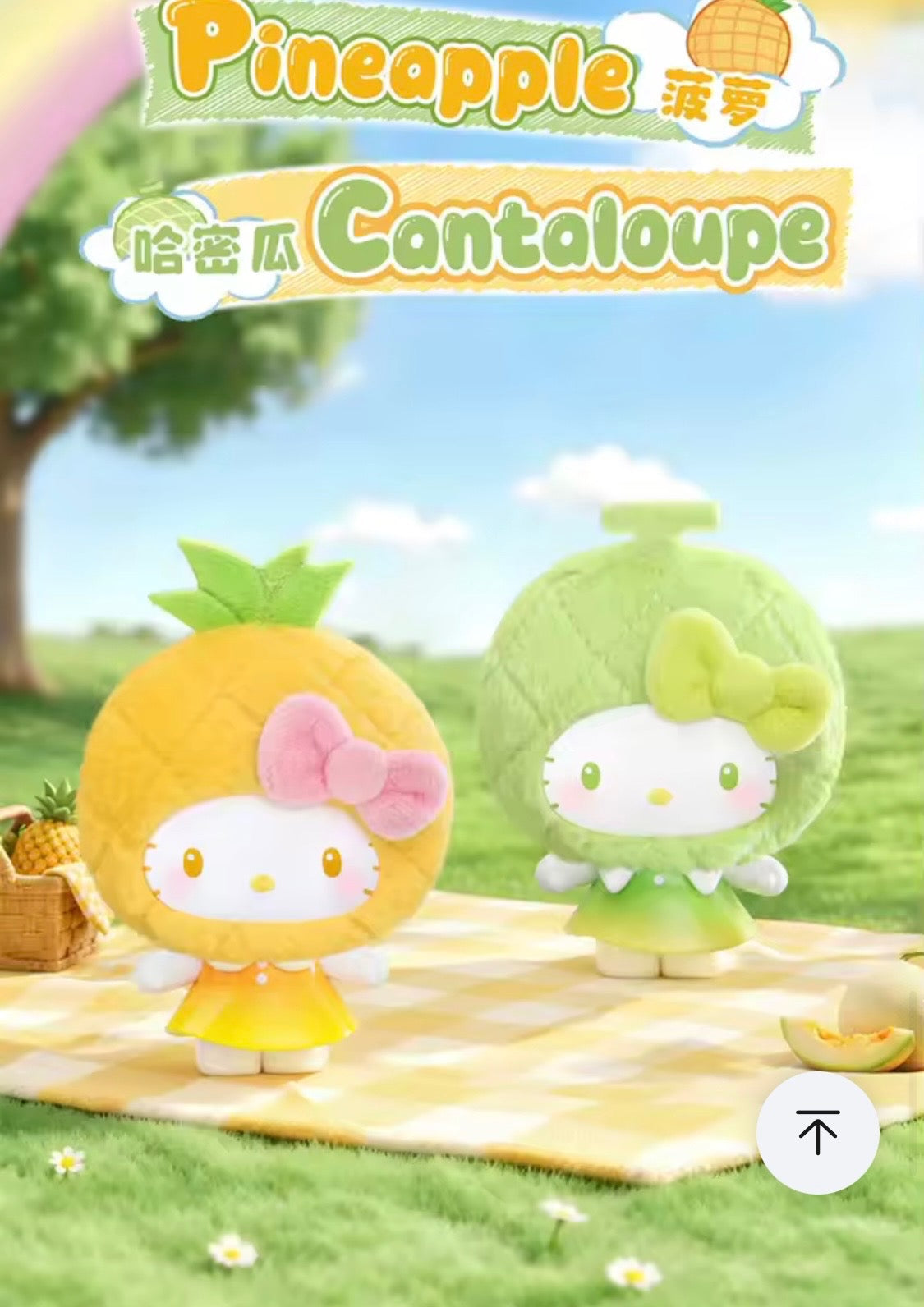 (Pre Order) Sanrio Fruit Series