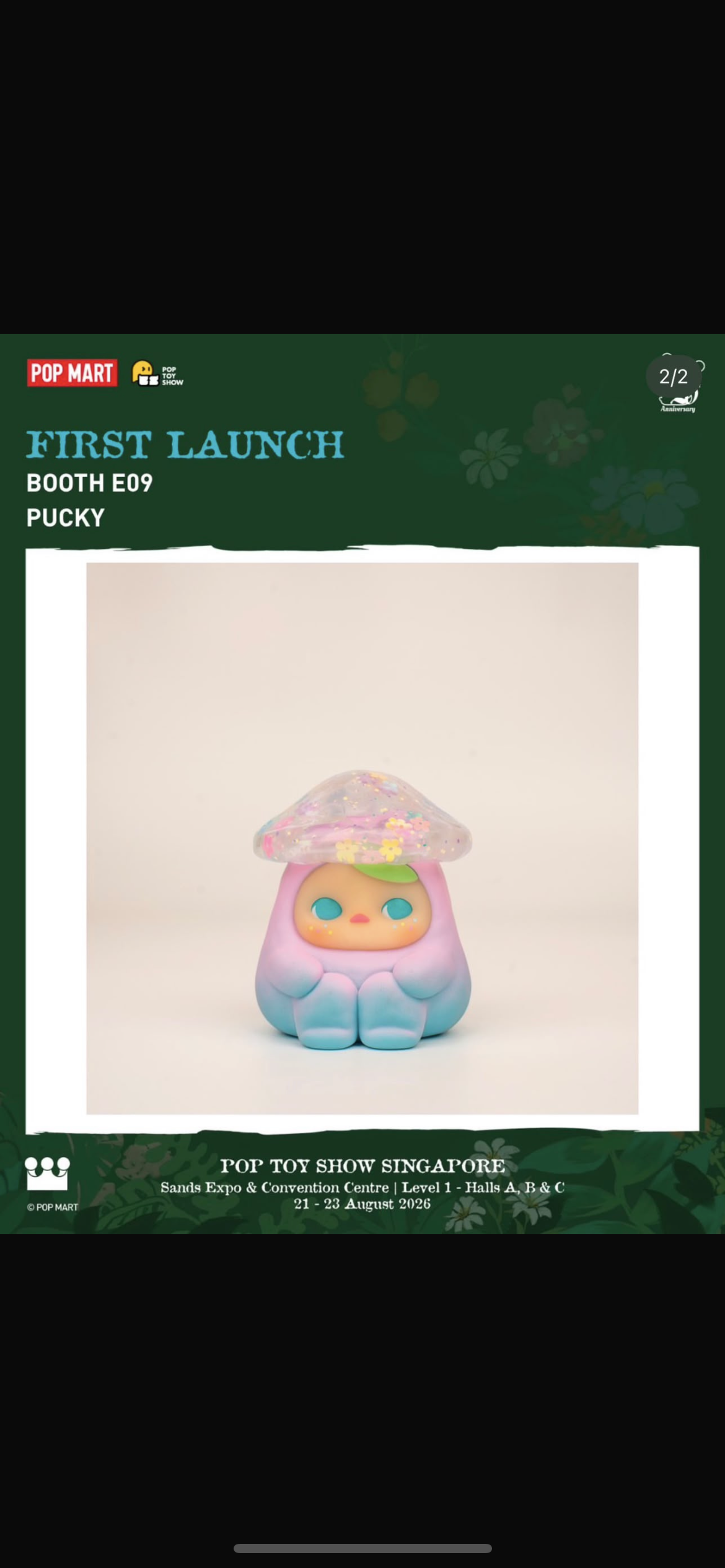 shiela-confirmed items