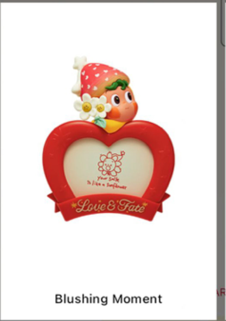 Nancy-sp figure&plush, nommi secret, kuromi secret, Naruto, Pocha, Pompom