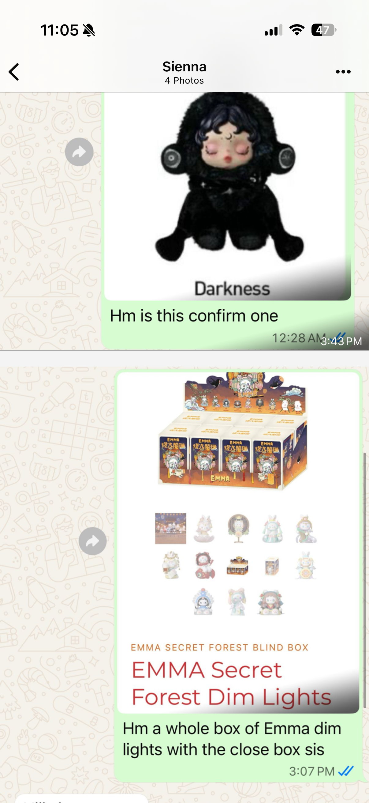 Sienna-Confirmed items