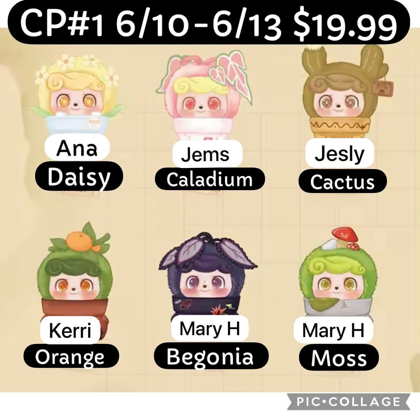 (Pre Order) QKid Happy Garden