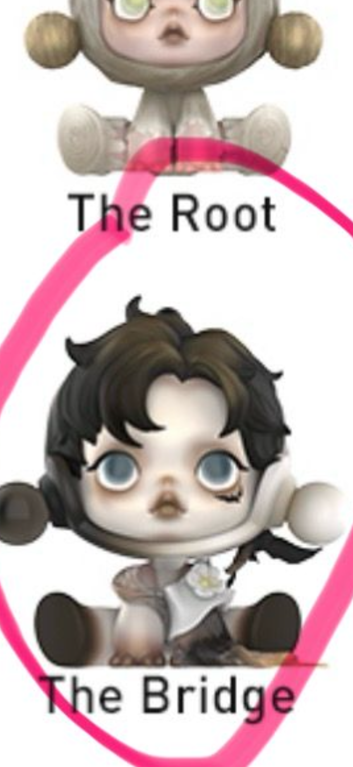 Angelica-sp confirmed open bags