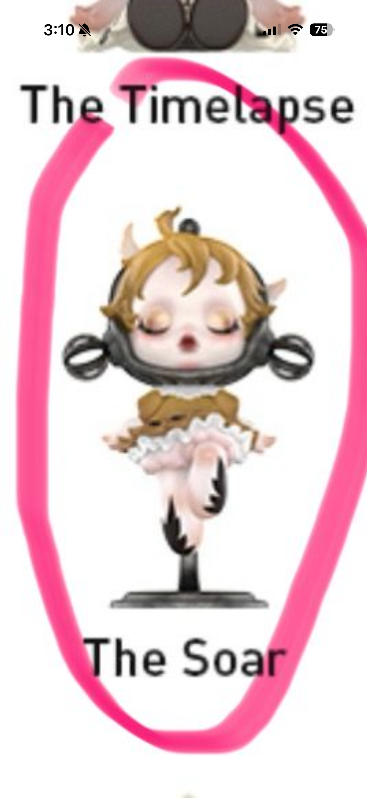 Angelica-Duality+Soar no box