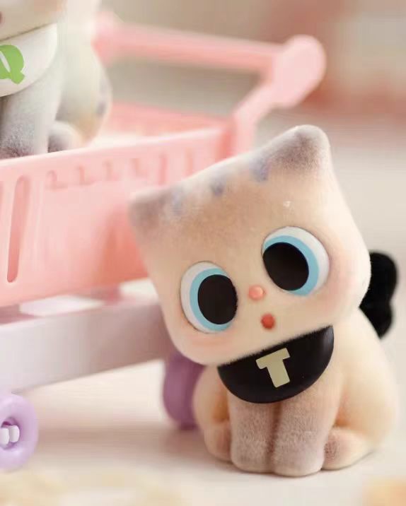 Pitty's Name Blind Box