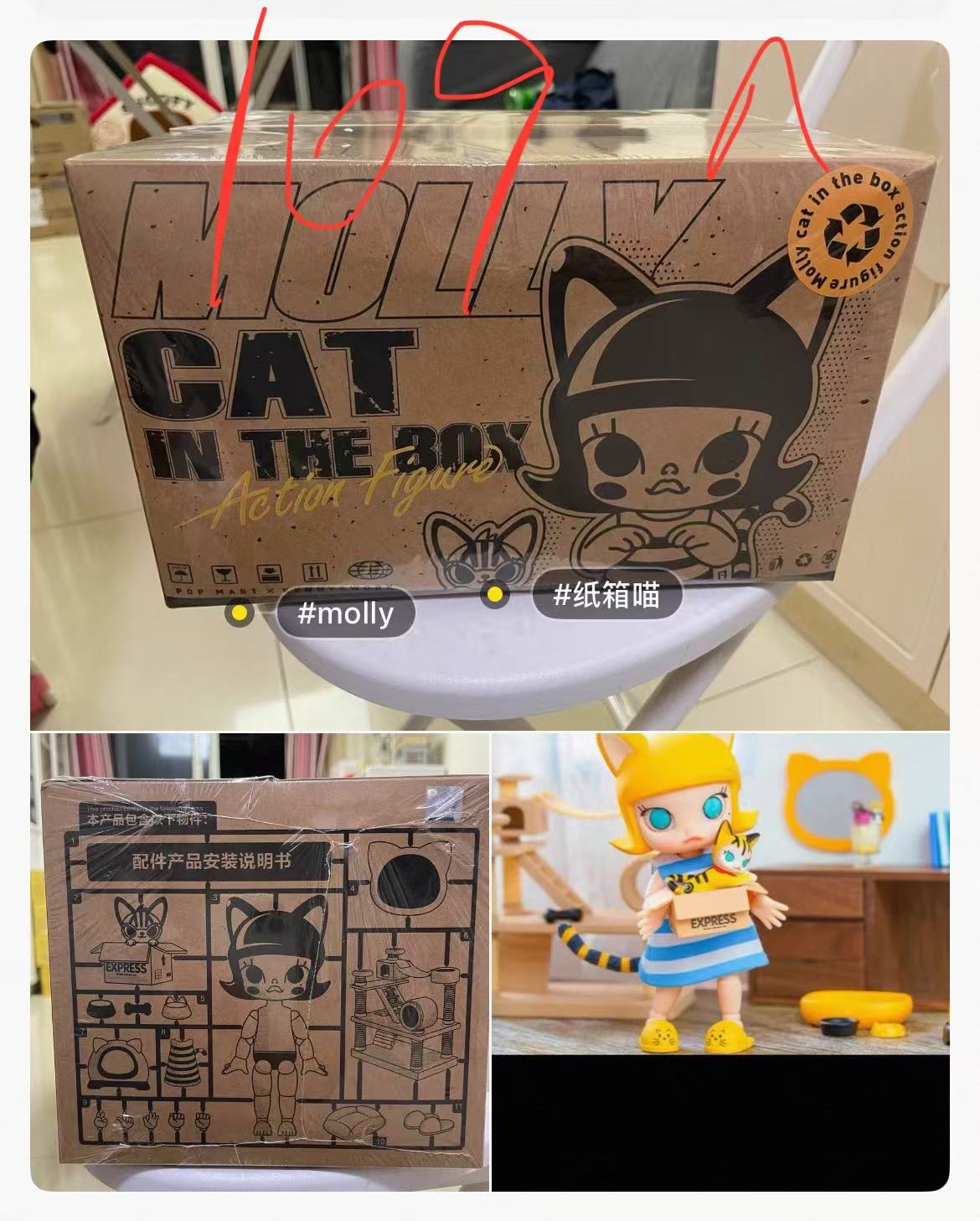 Live only - Molly Series Claim Party